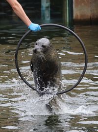 Rheine Zoo August (15) status